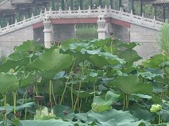 -西海子公园