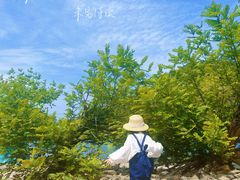 -楠溪江风景名胜区