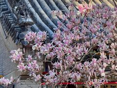 -潭柘寺景区