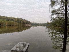 -三水森林公园