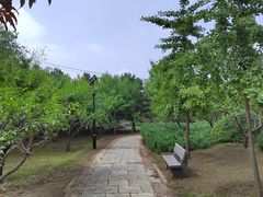 -古塔公园