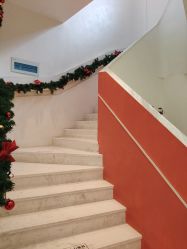 -WENDY·温迪皮肤管理