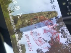 -上海佘山国家森林公园天马山园