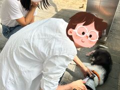 -中国农业大学动物医院