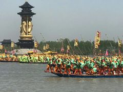 -溱湖国家湿地公园