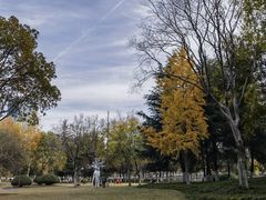 -后襄河公园