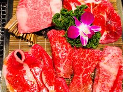 -俺的焼肉(銀座9丁目店)
