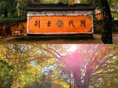 -莫干山风景区