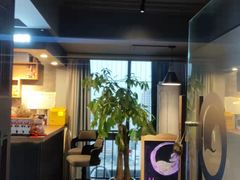 -梵猫·新养生(湛江鼎盛店)