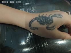点击看大图 -微刺纹身