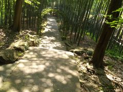 -杭州黄龙洞