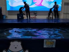 -Mr·Kuma酷么先生雪之乐园