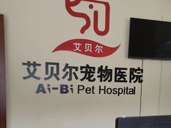 -艾贝尔宠物医院 ·内科全科(梁溪路店)