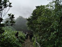 -梧桐山风景名胜区