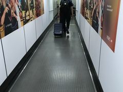 -新加坡航空公司(ION)