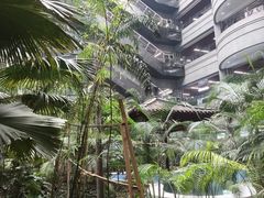 -黑龙江中医药大学附属第一医院