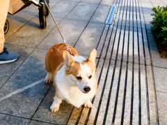 -溪山云境森林音乐餐厅(湖景店)