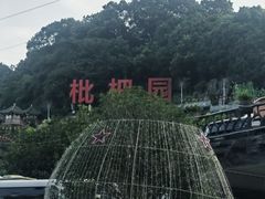 -枇杷园食为鲜火锅(南山店)