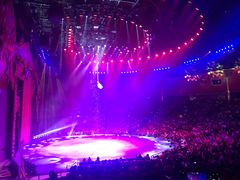 -珠海横琴长隆《卡卡虎奇遇记》