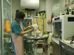 -达爱动物医院·犬猫分区·CT·复杂眼科(远洋山水分院)