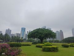 -万绿园