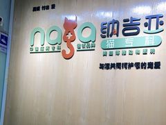 -纳吉亚猫专科动物医院博雅分院
