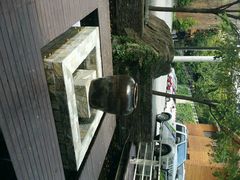 android_upload_pic-Local泰莲庭(虹鳟鱼店)