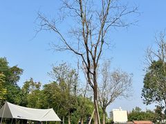 -白鹭湾湿地公园