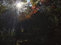 -北京鹫峰国家森林公园