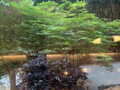 -久宴·天目湖大鱼头(恐龙园店)