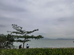 -深圳湾公园(南山区)