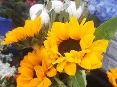 -雪蔓之鲜花气球派对(家佳源时代中心店)