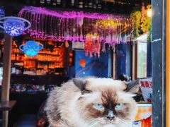 -萤火虫咖啡(后海店)