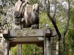 -九曲溪竹筏码头