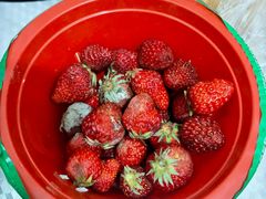 -中央戏剧学院(昌平校区)