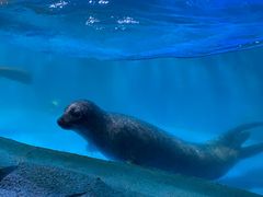 -常州海昌海洋探索馆