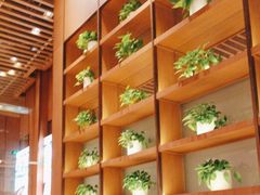 -西贝(华发商都店)