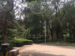 -双榆树公园