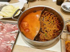 -呷哺呷哺 黄金牧场 (新辰里学清路店)