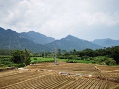 -竹语饭香·原生态农庄·烧鸡·竹筒饭·河鲜(森林海白水寨店)