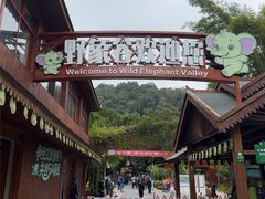 -野象谷景区