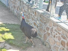 -西霞口神雕山野生动物世界