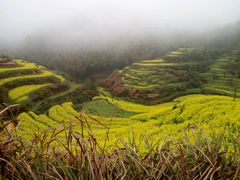 -灵山景区梯田