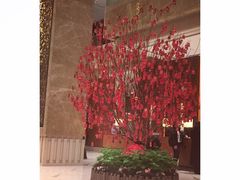 -翡翠36餐厅(浦东香格里拉店)