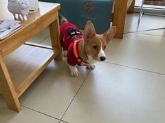 -美迦爱-牙专科·兔科·骨科诊疗中心(北苑店)