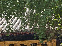 -洛阳白马寺