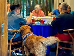 -院8里·少城记忆老川菜(宽窄巷子店)