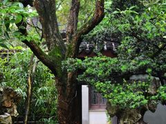 -惠山古镇·寄畅园