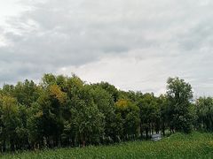 -大理洱海