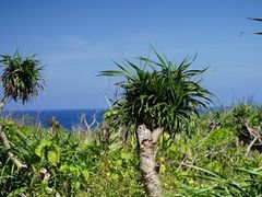 -龙坑生态保护区